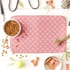 Bone Dry Machine Washable, Ultra Absorbent Pet Mat, 12x18, Rose