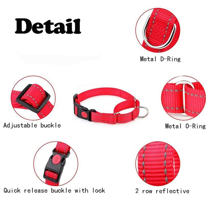 Martingale Collar for Dogs with Buckle, Reflective Dog Choke Collar
