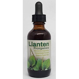 Plantain, Llanten Mother Tincture, Extract, Organic (Plantago Major) Health Supplement, Vegetable Glycerin, Alcohol and Oil. (Oil, 2oz)