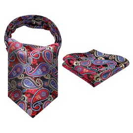 Hisdern Men's Cravat, Floral Jacquard Woven Ascot Tie Set -