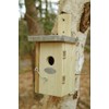 Fallen Fruits NKN Wren Nest Box, natural