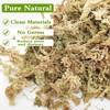 Legigo 3.5oz Premium Sphagnum Moss Potting Mix- 4 QT Natural
