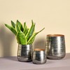 Lambert -Twister - Tea Light Holder / Lantern / Flower