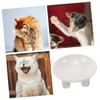 Kisangel Elevated Cat Feeding Bowl Easy to Clean Ergonomic Design