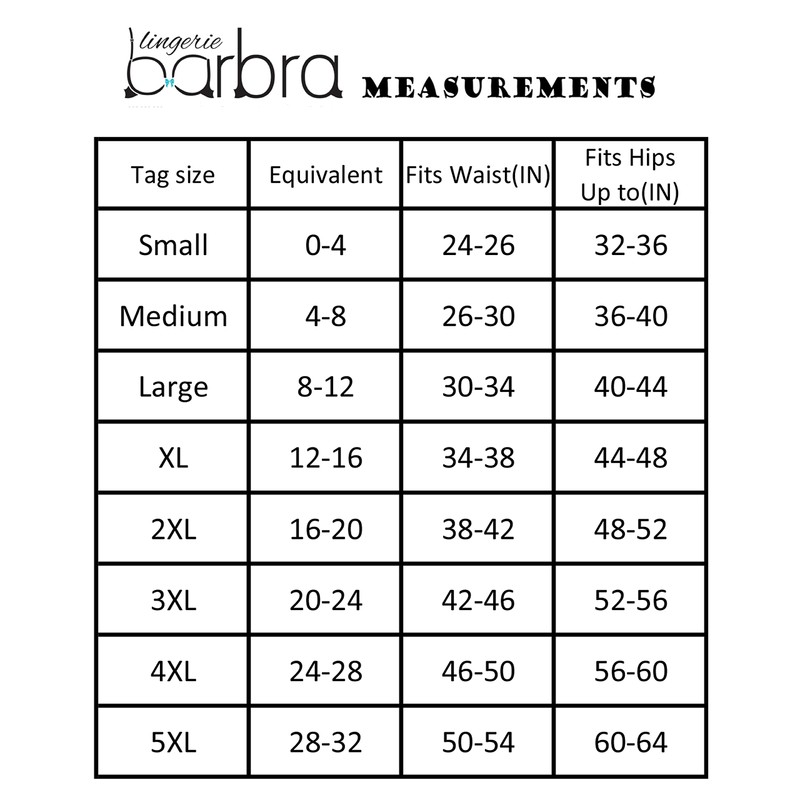 Barbra's High Waist Leg Elegant Lace Trim Panties, Assorted Color(