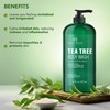 Botanic Hearth Tea Tree Body Wash -16 fl oz- All-Natural