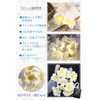 Aquamy Plumeria Garland String Light, Indoor LED Flower Decoration, Artificial