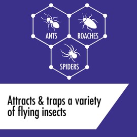 STEM Kills Ants, Roaches And Spiders: Plant-Based Active Ingredient Bug Spray, Botanical Insecticide For Indoor And Outdoor Use; 10 fl oz (Pack Of 1)