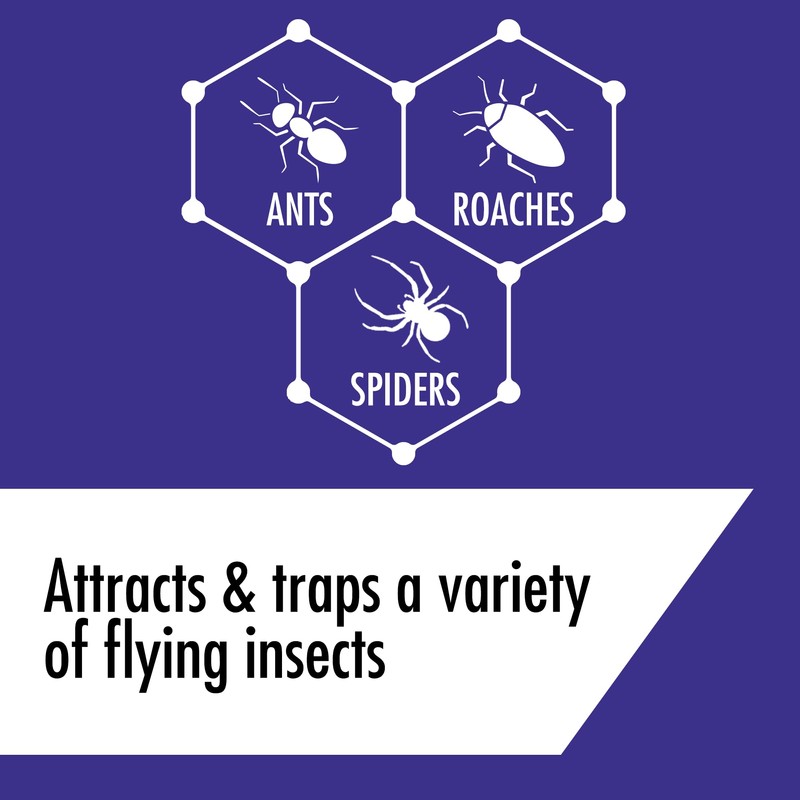STEM Kills Ants, Roaches And Spiders: Plant-Based Active Ingredient Bug