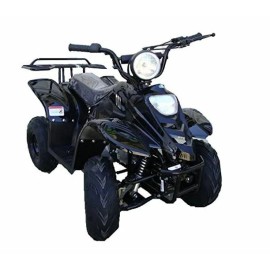 BMP Carburetor Carb Assembly For ATA-110B1 TaoTao Kids Gas ATV