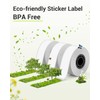 Phomemo Transparent Labels for D30/Q30S/Q31 Label Printers, Compatible with Colorwing