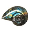 Carved Ammonite from Labradorite (3-4 cm)