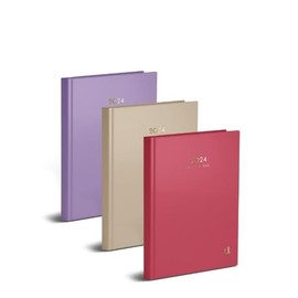 Martello P2814 - A6 Page A Day 2024 Diary, Assorted Hardback Trendy Colour Block X1