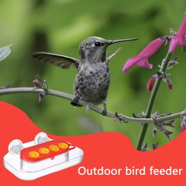 Window Hummingbird Feeder, Strong Suction Bird Feeder Window, with 4 Feeding Ports, Feeding Station for Balcony Garden Outdoor Backyard