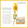 Gel Muscular con Árnica y Ocote, Efecto Calmante, 350g, Alivio