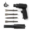 Pneumatic Needle Scaler 19 Needles and Air Hammer Pistol 4