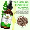 Moringa Oil, Cold-Pressed Moringas Oil for Hair, Face, Anti-Aging, Skin