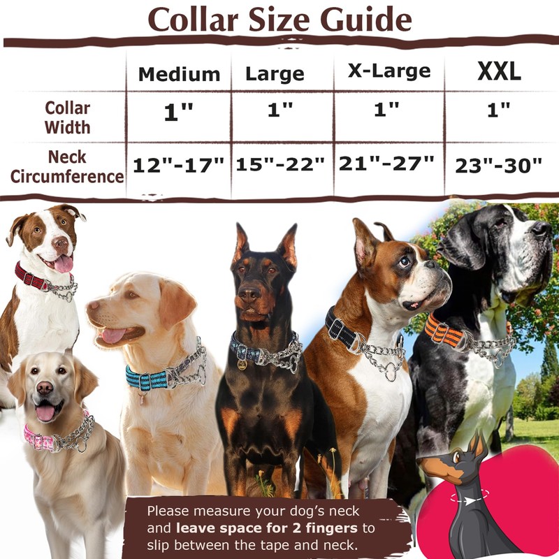 Martingale Dog Collar with Chain,Skull Reflective Nylon Soft Padded Adjustable