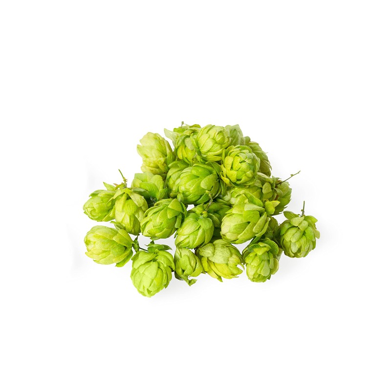 Hop Blossoms Whole 100 g | Hop Blossom Tea |