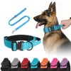 Collar Táctico para Perros - Seguridad y Comodidad en Tus