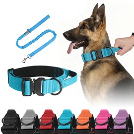 Collar Táctico para Perros - Seguridad y Comodidad en Tus Paseos,Collar de Perro Resistente y Ligero (Azul, M)