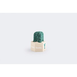 DOIY CACTUS SOCKS (Astro)