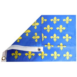 Generic Alternative Novelties Kingdom Of France Fleur De Lis Blue 23 Fleurs 12x18 12""x18"" 12 Inch x 18 Inch Rough Tex 100D Printed Polyester Flag Banner With Grommets