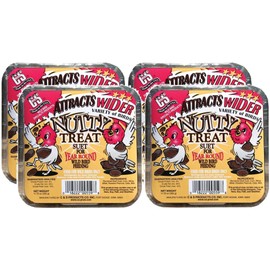 C&S Nutty Treat Bird Suet for Wild Birds, 11.75 Ounces Each (4)