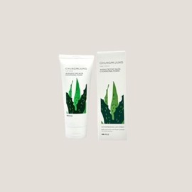 Elumam Cheongmijeong Mildly Alkaline Aloe Cleansing Foam 200ml (43605532) / 엘루맘 청미정 약알칼리성 알로에 클렌징폼 200ml (43605532)