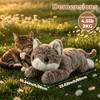 Bobbie & Laxi 22" Weighted Gray Cat Plush, 4.5 lbs