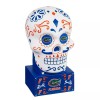 Evergreen Florida Gators Sugar Skull Statue Dia De Los Muertos
