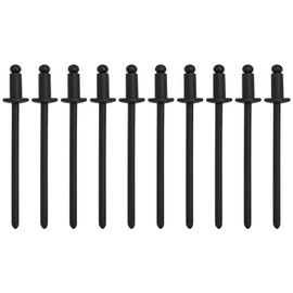 10Pcs Rosette Rivets Stainless Steel, Dash Rosette Rivets VIN Door Tag, Replacement for Ford Replacement for Chrysler Replacement for AMC (Black)