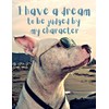 I have a dream to be judged by my character: