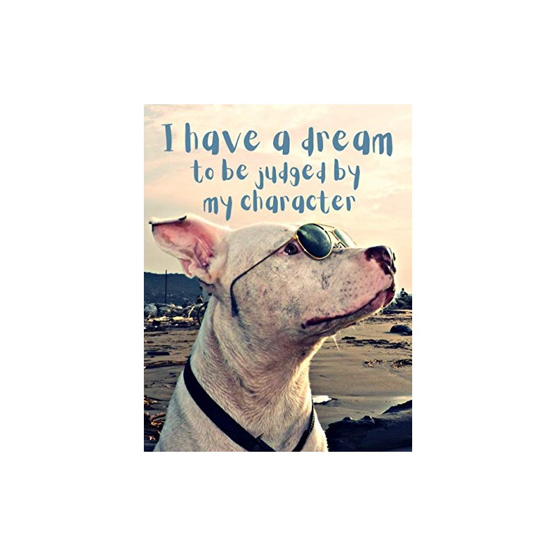 I have a dream to be judged by my character: