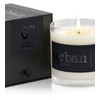 Urban Concepts by DECOCANDLES - Mango Guava - Highly Scented