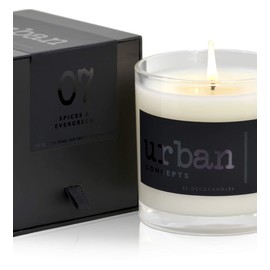 Urban Concepts by DECOCANDLES - Mango Guava - Highly Scented Soy Candle - Long Lasting - Hand Poured in USA (9 Oz.)