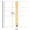 Leools 4-Pack Vintage LED Filament Bulb T300 Dimmable Led Edison