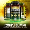 Earth Elixir Spermidine Supplements 1200mg (90 Capsules) – Anti Aging