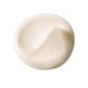 L'Oréal Paris Age Perfect Cell Renaissance Night Cream Anti-Ageing Deep