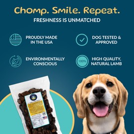 TREATOPIA Lamb Lung Filet Dog Treats, 1 LB Bag - All-Natural, Sustainable, Healthy, High Protein, Hand-Trimmed, Slow-Roasted, Made in The USA, Nutritious, No Additives, No Fillers