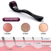 Derma Roller (0.25mm+0.5mm+1mm)