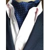 WANYING Men's Ascot Tie Scarf Cravat Ties Simple Chic for