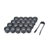 Riloer 19mm Lug Nut Covers 20PCS, ABS Chrome Plastic Nut