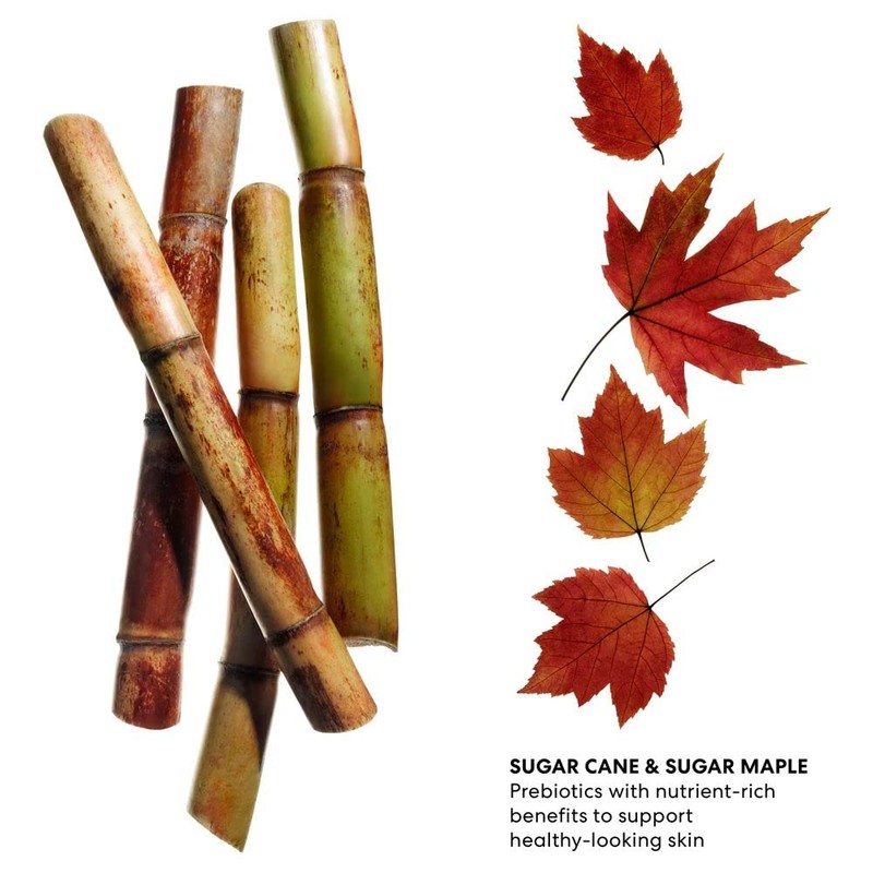 bareMinerals Poreless Oil-Free Moisturizer for Face, Lightweight Hydrating Face Cream,