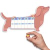 D&J Dog Feeding Reminder, Fridge Magnet with AM/PM Indication Chart