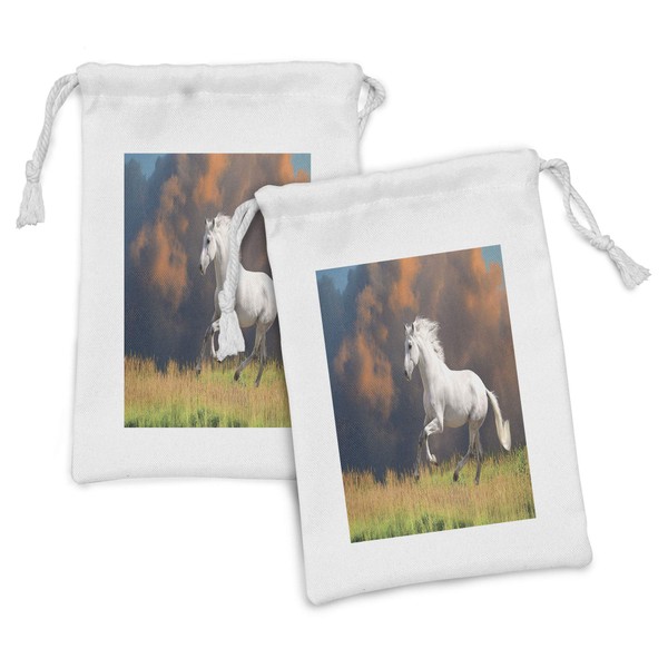 Ambesonne Horses Fabric Pouch Set of 2, Andalusian Horse with