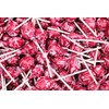 Red Raspberry Red Lollipops, Red Tootsie Pops, by Queen City