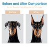 Doberman Ear Posting Kit - Stand Up Support Tool with