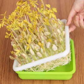 Itisyou Seedling Tray, Sprout, Cultivation Container, Bean Sprout Cultivation Kit, Seedlings, Pots, Sprouts, Sprouts, Cultivation Containers, Peanut Sprout Case, Home Garden, Gardening