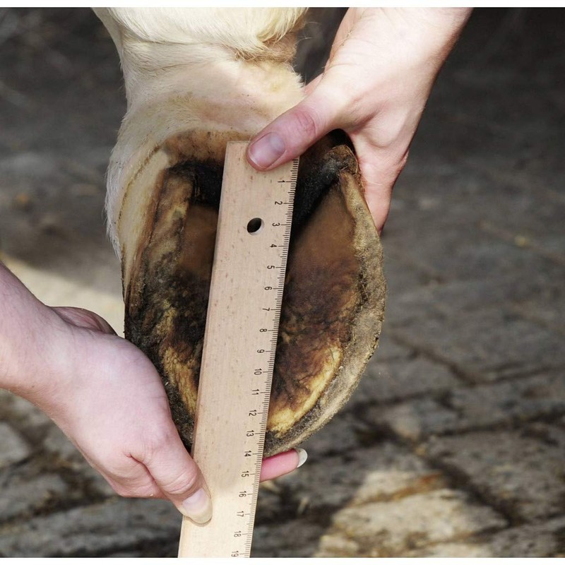 HKM Hoof Boot for Horses Size 7